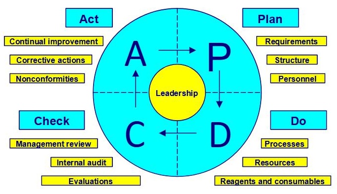 Deming cycle